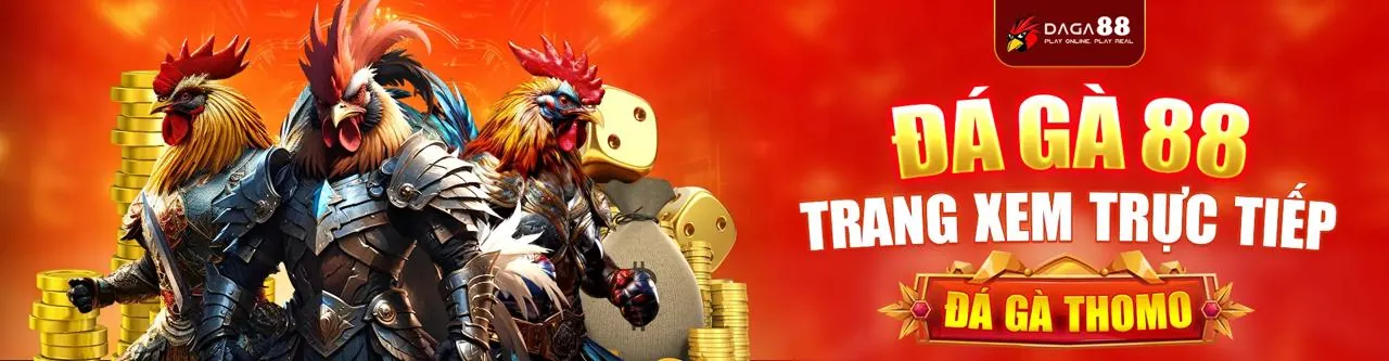 Đá gà trực tuyến tại vt88 chính thức