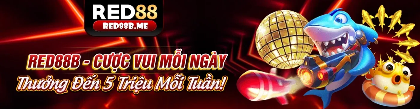 Hình ảnh Chính sách Cookie vt88 chính thức, bảo vệ dữ liệu người dùng