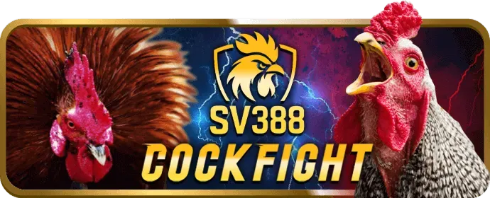 Cá cược thể thao trên VT88